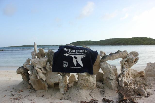 Vieques National Wildlife Refuge